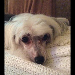 Meet your Posher, Audrey